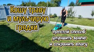 Кошу траву и мульчирую грядки - простой способ улучшить землю и сохранить влагу!
