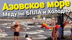 БПЛА - Медузы В Море не зайти - Холодно #Голубицкая Сегодня