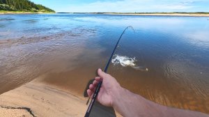 КРУТАЯ РЫБАЛКА В ЖАРУ НА СПИННИНГ С ЛОДКИ. УЧИМ ПЛЕМЯННИКА ПЕРВОМУ ЗАБРОСУ. ИТОГ - ОН ОБЛОВИЛ ВСЕХ.