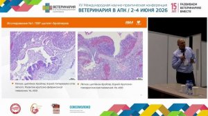 Сафонов Д. Н. Патоморфоз поствакцинальных осложнений после применения живых респираторных вакцин