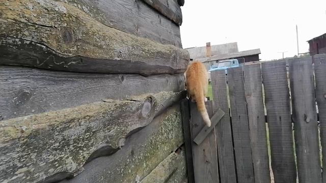 деревня