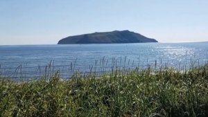 Магадан. Через Арманский перевал, в долину реки Окса. Остров Недоразумения. 🧢🌞🧘♂️🚘🏝