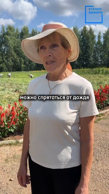 Цветущая школа