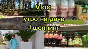 ЛАЙФ-Vlog/утро на даче+шоппинг✨лето2026