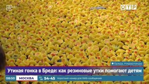 Утиная гонка в Бреде: как резиновые утки помогают детям