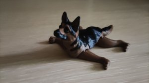 Зевсик