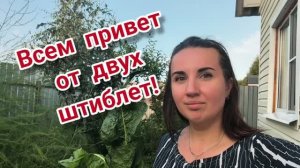 Всем привет, мы просто поздороваться! Вторая весна мяты.