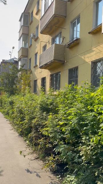 Улица Жулябина: кадры из повседневной жизни Электростали