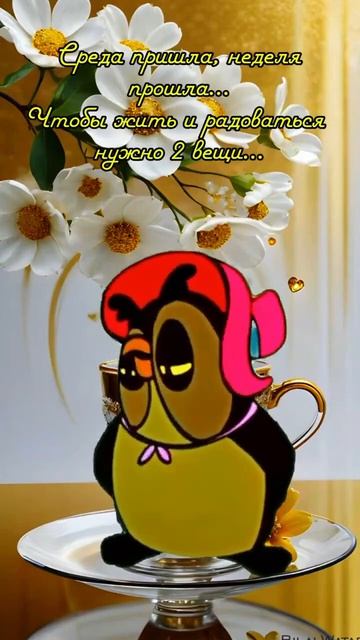 Сова