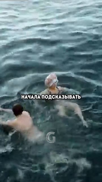 Знаменитый эпизод комедии «Любовь и голуби», где Василий падает из дверей избы прямо в Черное море!