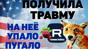 Получила травму /На неё упало пугало /Лиса в Америке Обзор