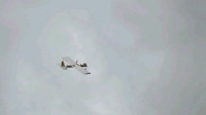 Россиянина оштрафовали за попытку сбить из ружья украинский беспилотник  пишет волгоградское издание