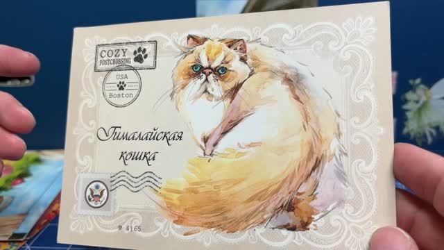15 Мои входящие открытки за август 2026  Часть 1 Мой Postcrossing