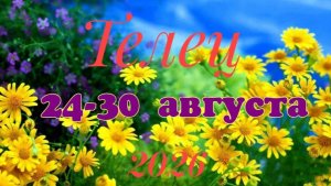 Телец♉Таро- прогноз на неделю с 24 по 30 августа 🕊