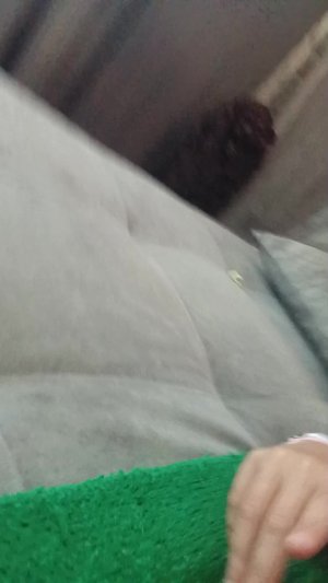 донат