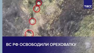 ВС РФ освободили Ореховатку