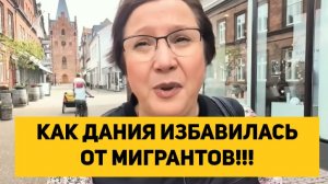 КАК ДАНИЯ ИЗБАВИЛАСЬ ОТ МИГРАНТОВ!!!
