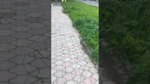 Главный бухгалтер МУП МЖКК ЗАТО Мирный - Часть 1
