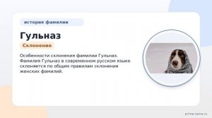 Фамилия Гульназ: происхождение, значение и склонение