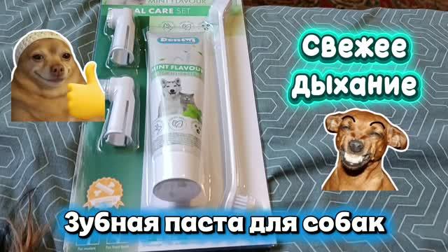 Зубная паста для собак