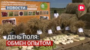 День поля объединил фермеров и учёных в Хабаровском районе.18/08/2026
