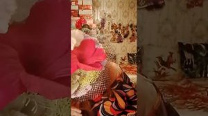 🎤 в гостях у феи 150826 плюс в начале песни из репертуара Elvis Presley