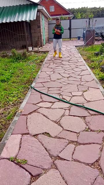номер 2 питарда