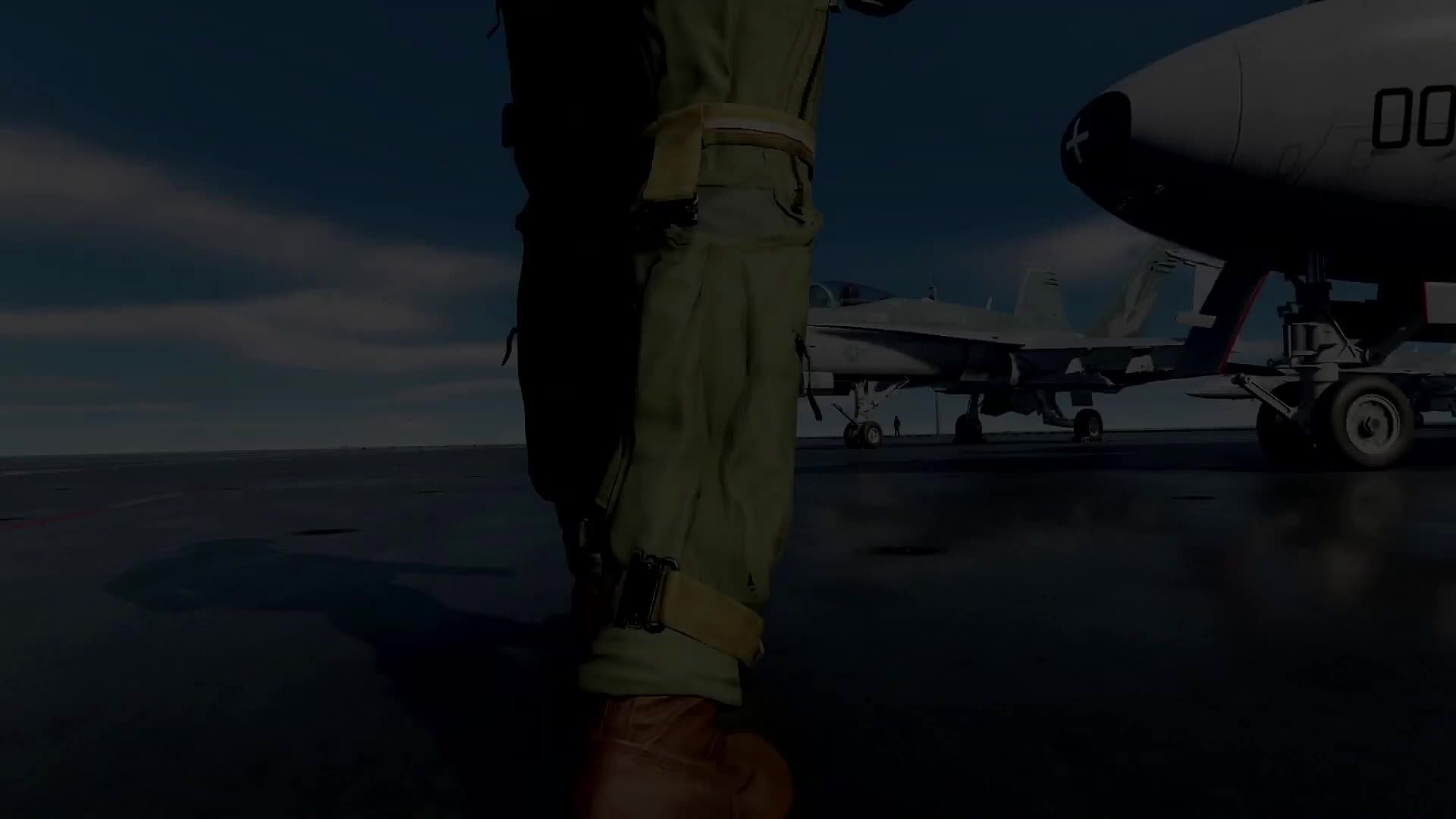 DCS World