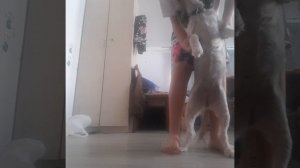 20260818_201927.mp4