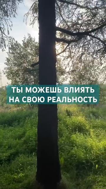 ВЛИЯТЬ НА РЕАЛЬНОСТЬ