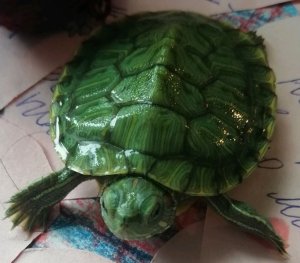 Большое вам спасибо