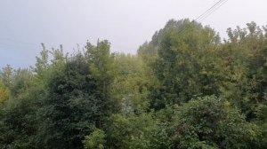 Ливень