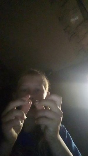 влог