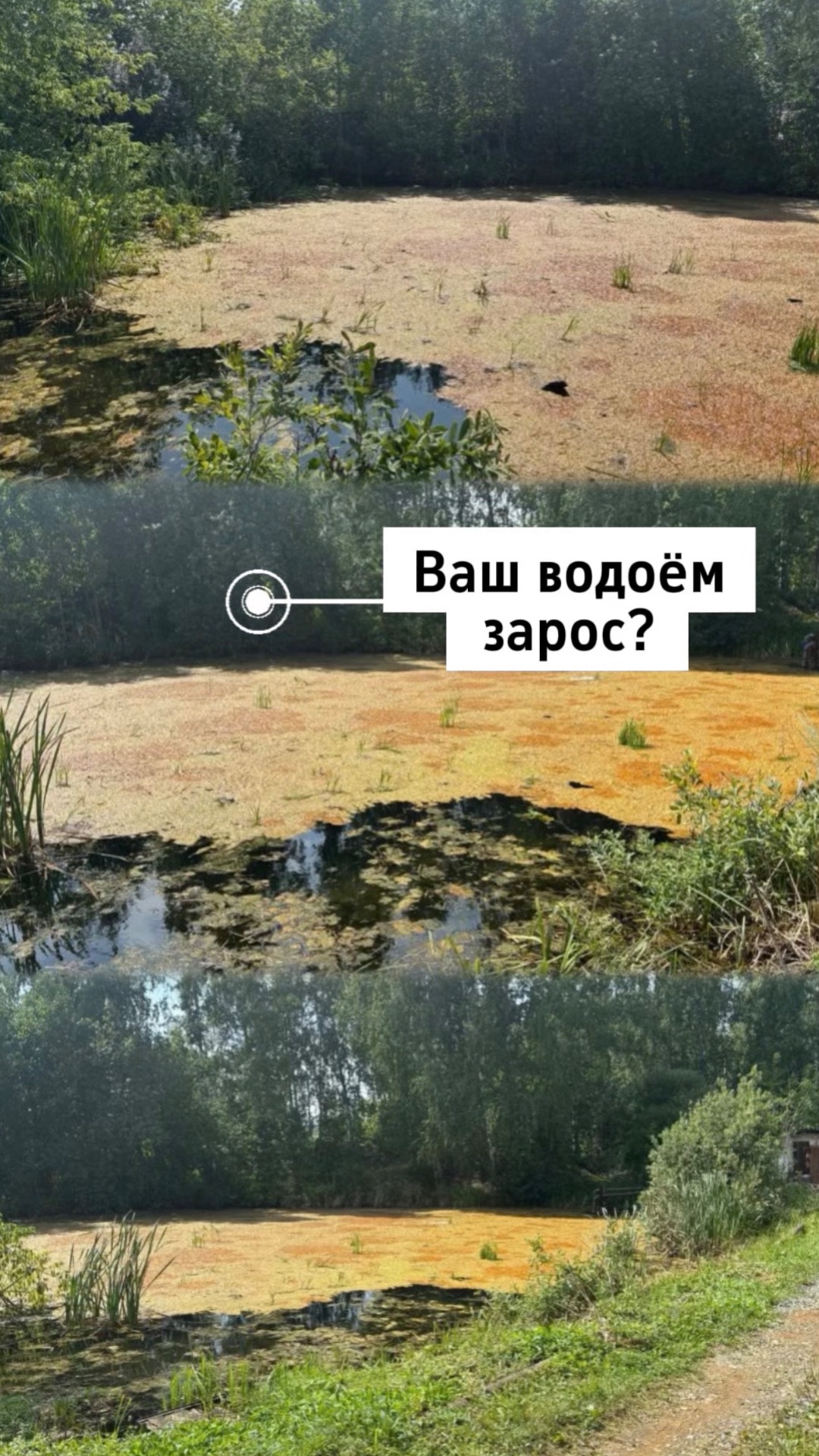 Очистка противопожарного пруда