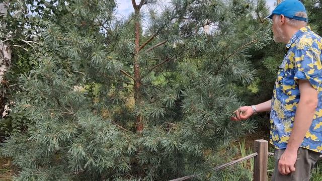 Сады и оранжереи