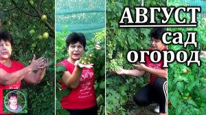 Что делать в августе в саду и огороде: важные работы для урожая