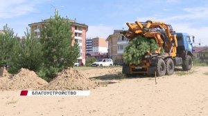 В 105 мкрн идет благоустройство территории