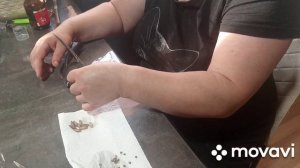 скоро будем запускать🕊️🕊️🕊️