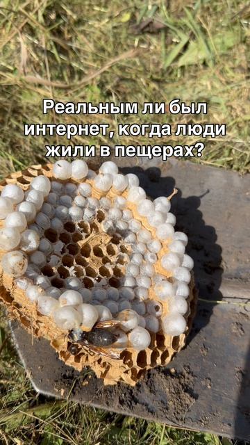 Ответ в описании