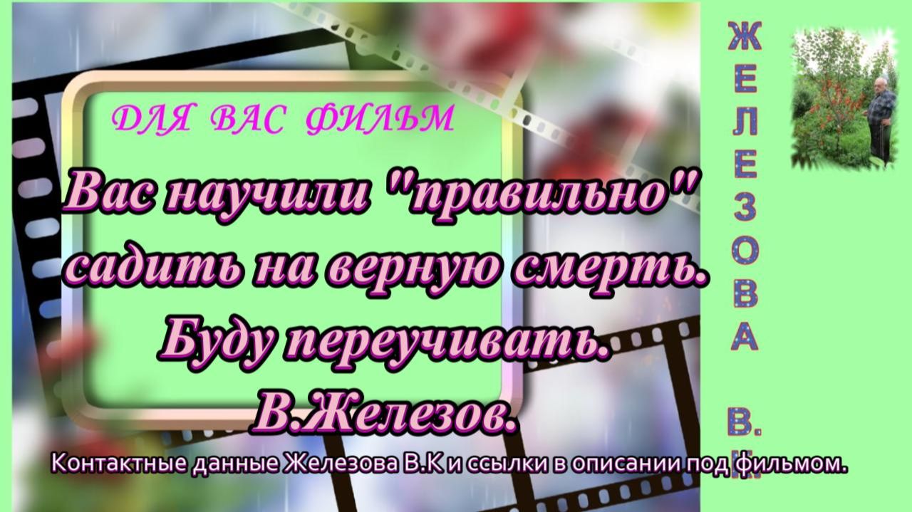 Вас научили 