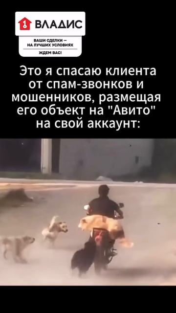 Выставляя объект на продажу, важно отвечать на каждый входящий звонок. При этом около 80 % обращений