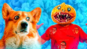 НАШ ХОЗЯИН ПЕЛЬМЕНЬ СКВИШ!! Корги Кекс Говорящая собака