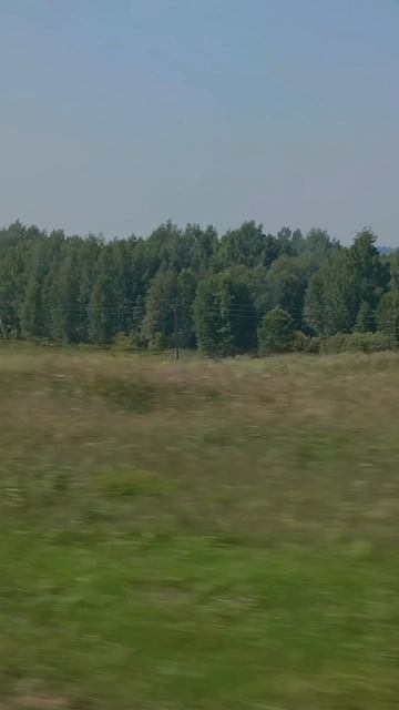 📍АЛТАЙСКИЙ КРАЙ