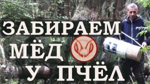 Разобрал колоду забрать мёд