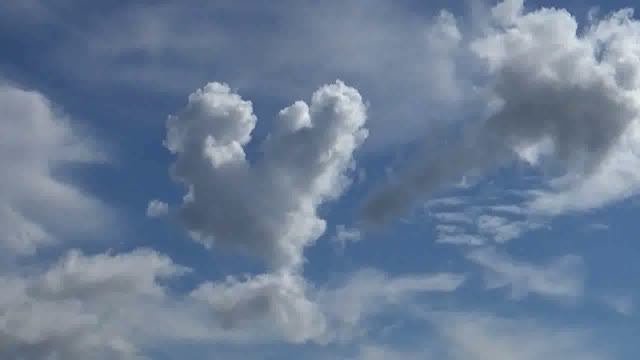 . Север. Природа. Белое море.
