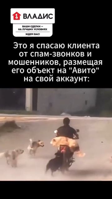 Выставляя объект на продажу, важно отвечать на каждый входящий звонок. При этом около 80 % обращений