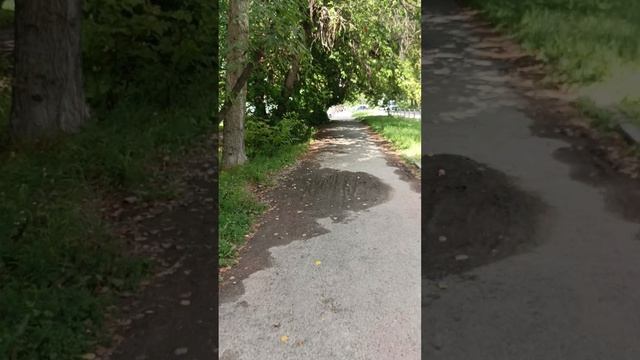 Прогулка состоялась.