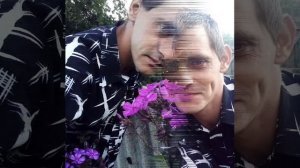 Мои Одноклассники Андрей  Тишин
