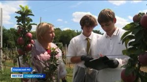 Юные агрономы вырастили в школьном саду первый урожай популярных сортов яблок