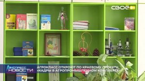 Экспресс новости на Своём от 18 августа 2026 г. 16:30